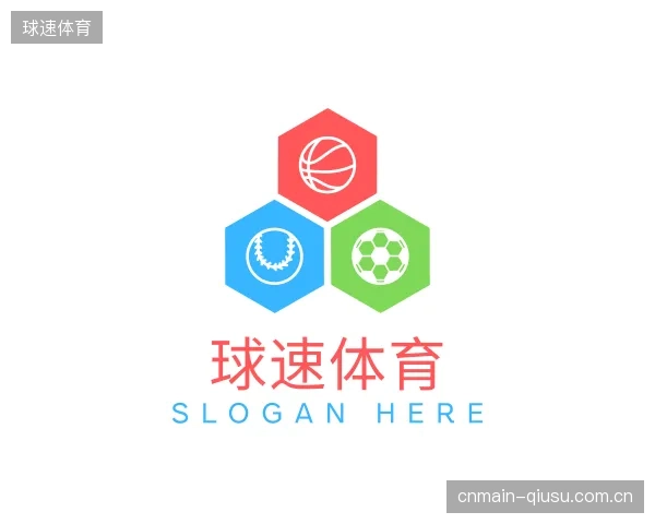 认识球速体育团队